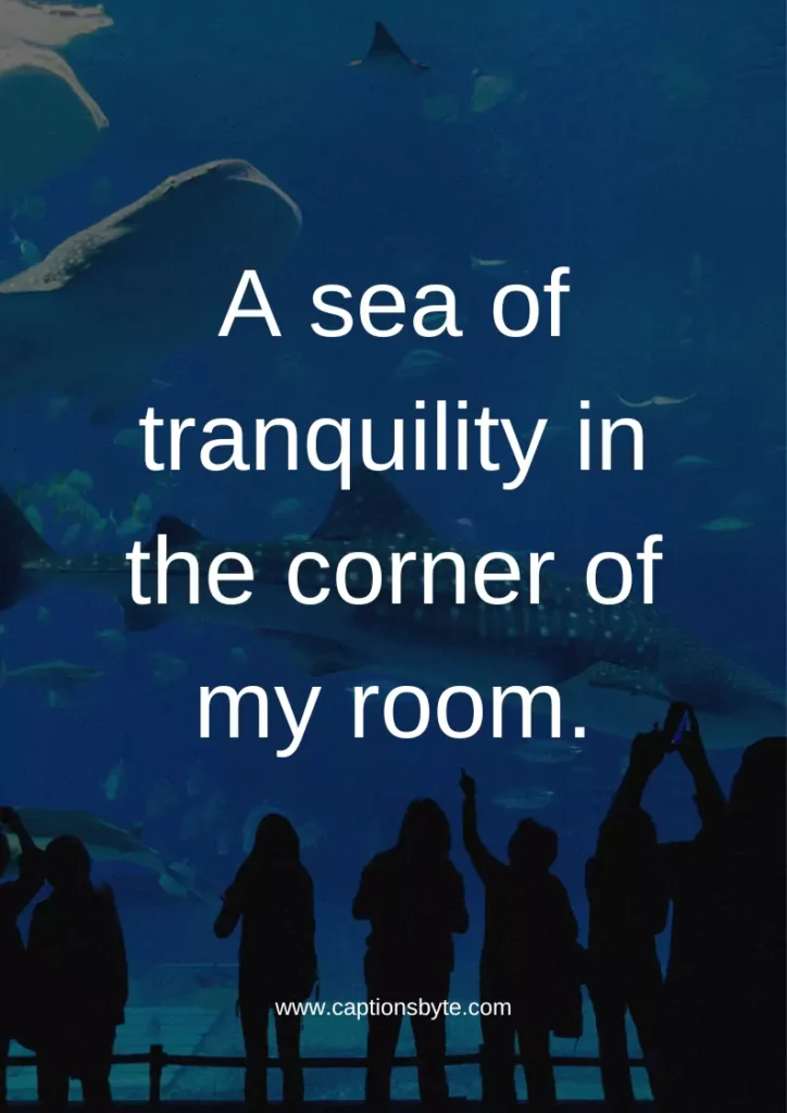 Cute Aquarium Captions for Instagram.